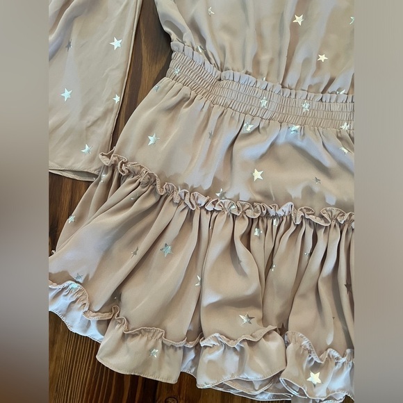 BUDDY LOVE 
STAR OF THE SHOW RUFFLE DRESS IN ROSE QUARTZ - Picture 9 of 12